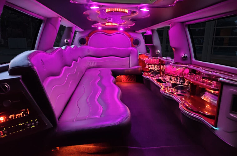 Pink Flamingo Limousine Rental in Florida - Elite Ultra Bus